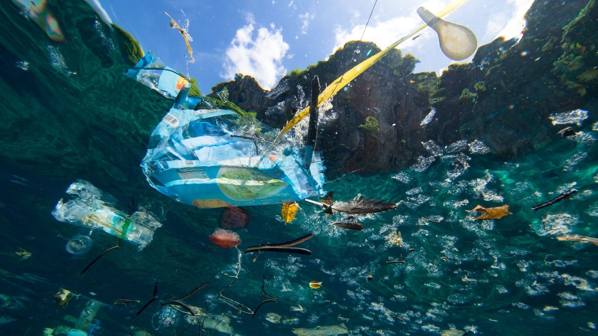 Microplastics vervuiling en hoe het onze oceanen in gevaar brengt